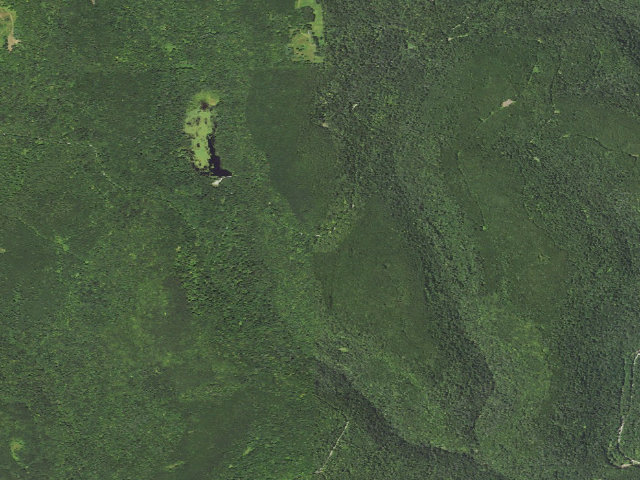 Aerial image of Loyalsock State Forest roadside campsite 427