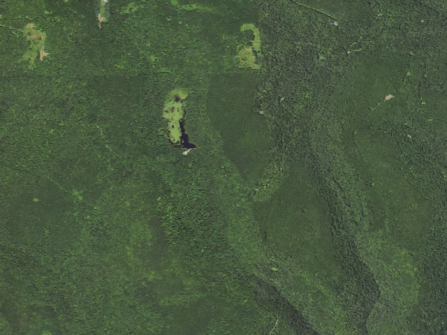 Aerial image of Loyalsock State Forest roadside campsite 431