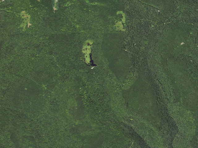 Aerial image of Loyalsock State Forest roadside campsite 432