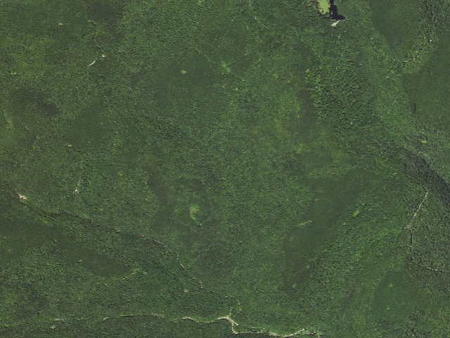 Aerial image of Loyalsock State Forest roadside campsite 441