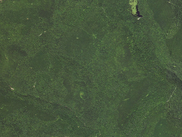 Aerial image of Loyalsock State Forest roadside campsite 456