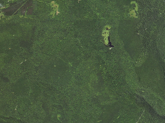 Aerial image of Loyalsock State Forest roadside campsite 463
