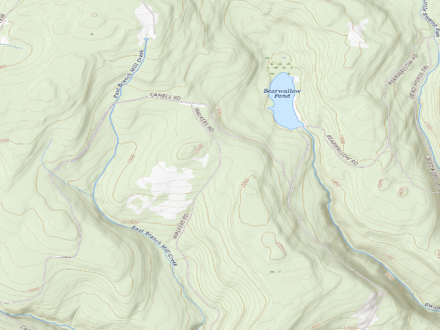 USGS topographic map of Loyalsock State Forest roadside campsite 463
