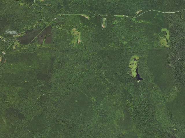 Aerial image of Loyalsock State Forest roadside campsite 470