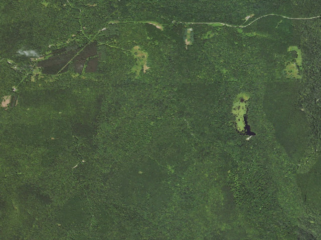 Aerial image of Loyalsock State Forest roadside campsite 471