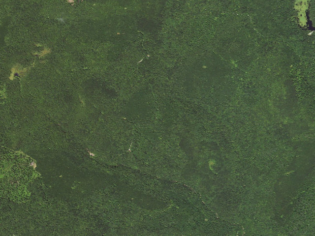 Aerial image of Loyalsock State Forest roadside campsite 475
