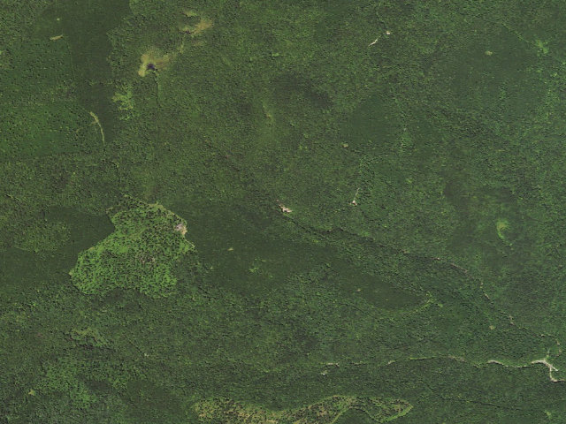 Aerial image of Loyalsock State Forest roadside campsite 480