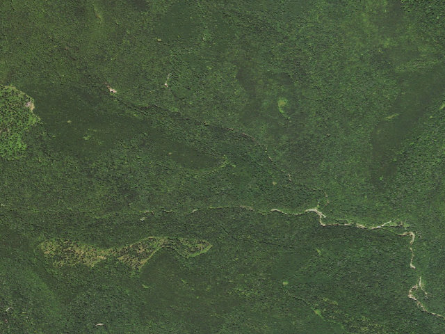 Aerial image of Loyalsock State Forest roadside campsite 486