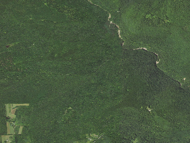 Aerial image of Loyalsock State Forest roadside campsite 491