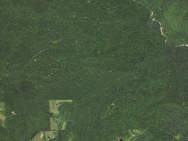 Aerial image of Loyalsock State Forest roadside campsite 492