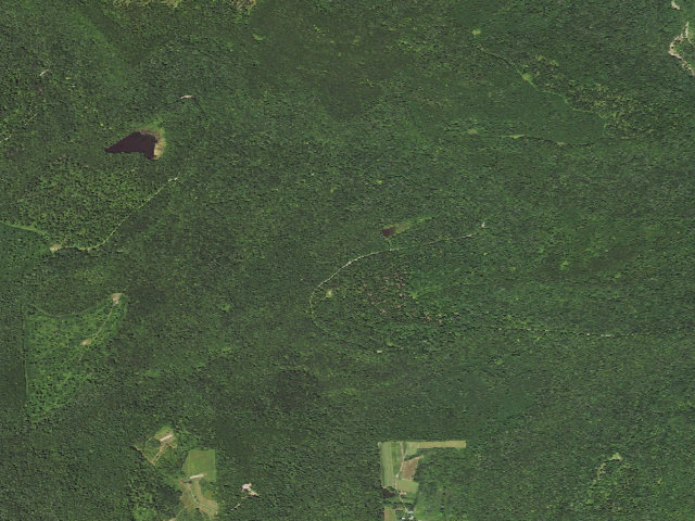 Aerial image of Loyalsock State Forest roadside campsite 493