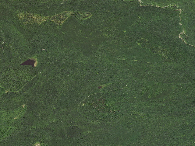 Aerial image of Loyalsock State Forest roadside campsite 494