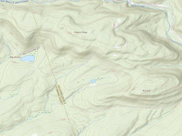 USGS topographic map of Loyalsock State Forest roadside campsite 494