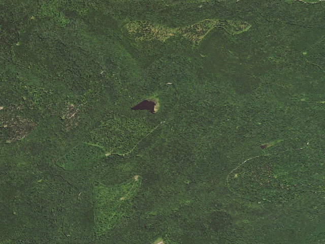 Aerial image of Loyalsock State Forest roadside campsite 495