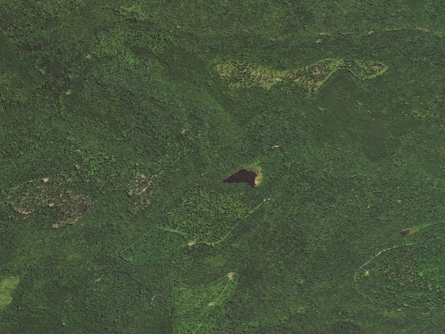 Aerial image of Loyalsock State Forest roadside campsite 496