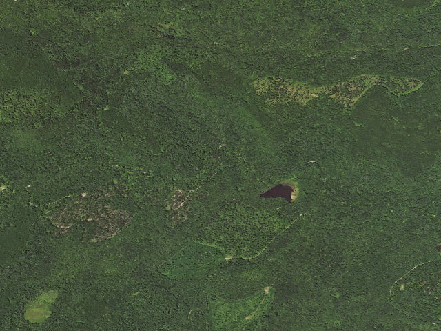 Aerial image of Loyalsock State Forest roadside campsite 497