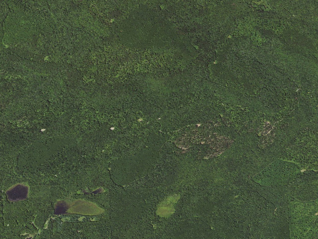 Aerial image of Loyalsock State Forest roadside campsite 498