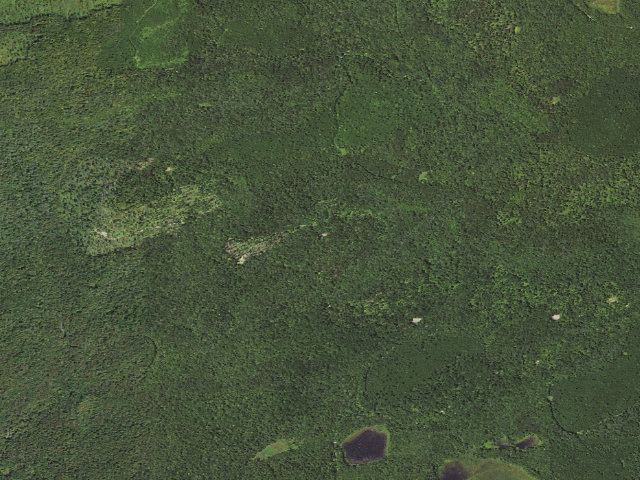 Aerial image of Loyalsock State Forest roadside campsite 499