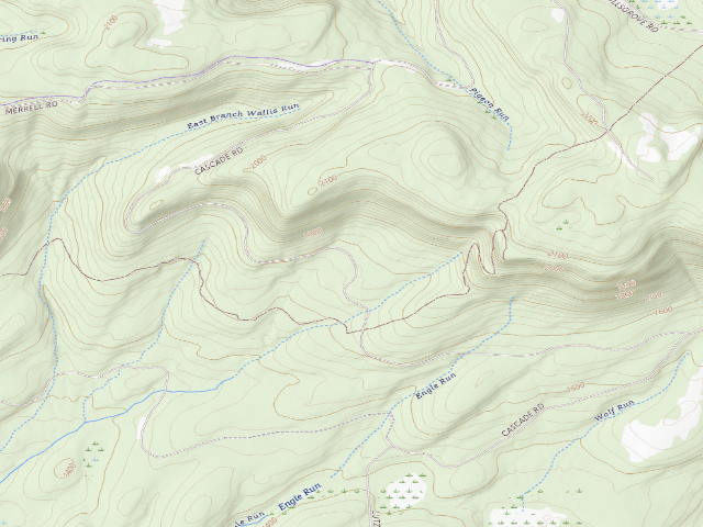 USGS topographic map of Loyalsock State Forest roadside campsite 499