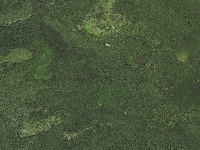 Aerial image of Loyalsock State Forest roadside campsite 500
