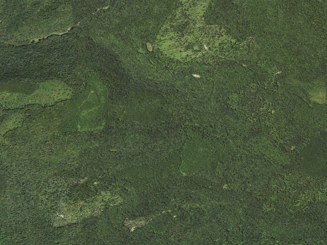 Aerial image of Loyalsock State Forest roadside campsite 501 (Large cleared walk-in site)