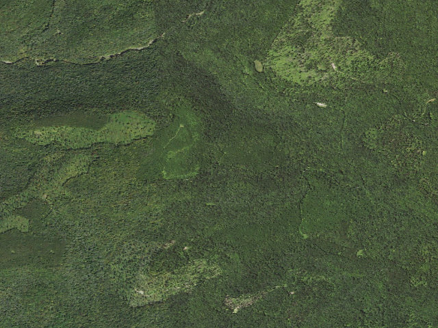 Aerial image of Loyalsock State Forest roadside campsite 502