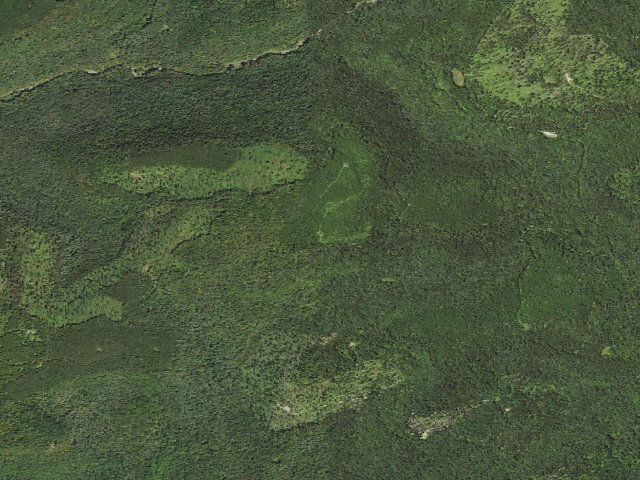 Aerial image of Loyalsock State Forest roadside campsite 503