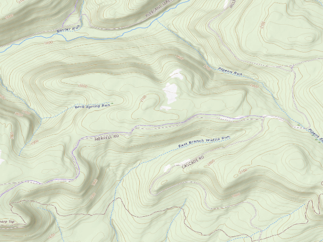 USGS topographic map of Loyalsock State Forest roadside campsite 503