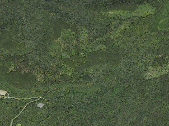 Aerial image of Loyalsock State Forest roadside campsite 510