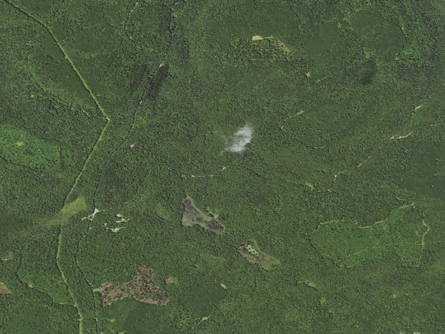 Aerial image of Loyalsock State Forest roadside campsite 600