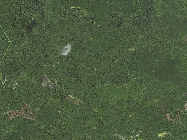 Aerial image of Loyalsock State Forest roadside campsite 613