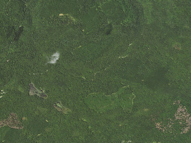 Aerial image of Loyalsock State Forest roadside campsite 620