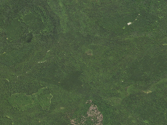 Aerial image of Loyalsock State Forest roadside campsite 635