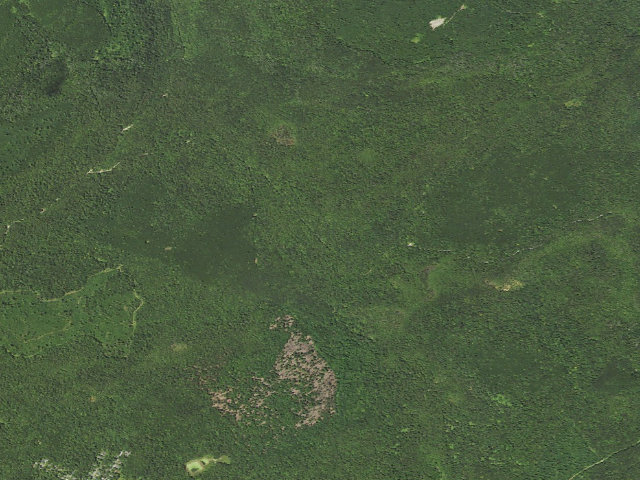 Aerial image of Loyalsock State Forest roadside campsite 640