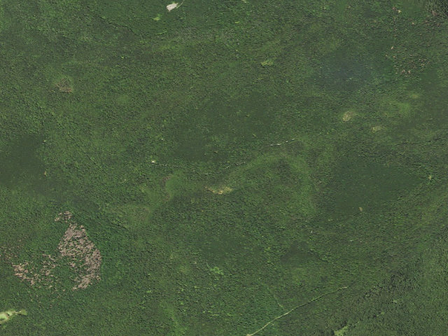 Aerial image of Loyalsock State Forest roadside campsite 657