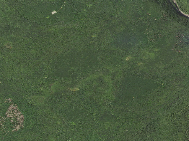 Aerial image of Loyalsock State Forest roadside campsite 660