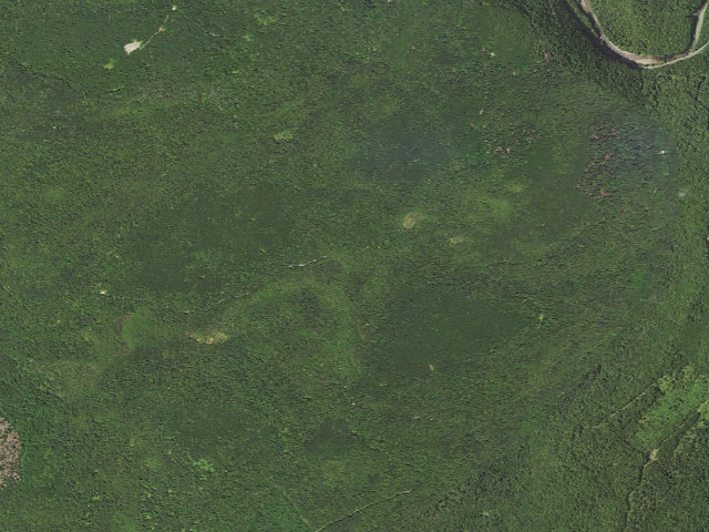 Aerial image of Loyalsock State Forest roadside campsite 671