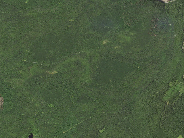Aerial image of Loyalsock State Forest roadside campsite 680