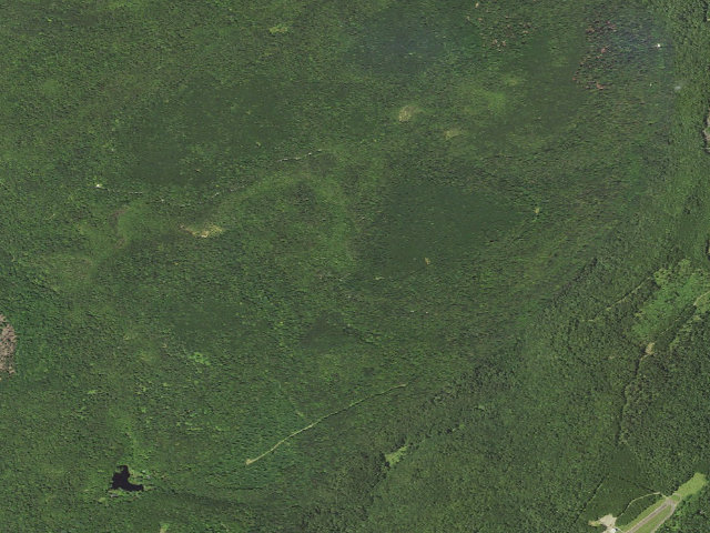 Aerial image of Loyalsock State Forest roadside campsite 693
