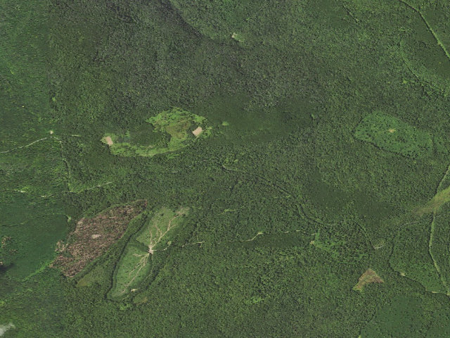 Aerial image of Loyalsock State Forest roadside campsite 710