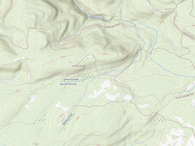 USGS topographic map of Loyalsock State Forest roadside campsite 710