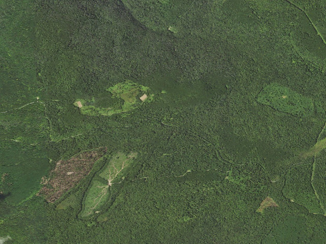 Aerial image of Loyalsock State Forest roadside campsite 711