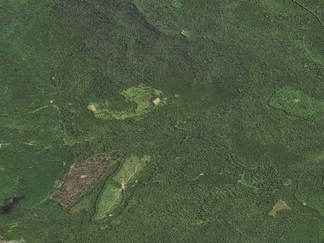 Aerial image of Loyalsock State Forest roadside campsite 712