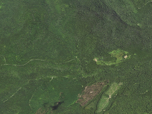 Aerial image of Loyalsock State Forest roadside campsite 720