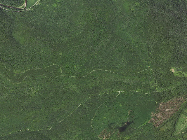Aerial image of Loyalsock State Forest roadside campsite 723