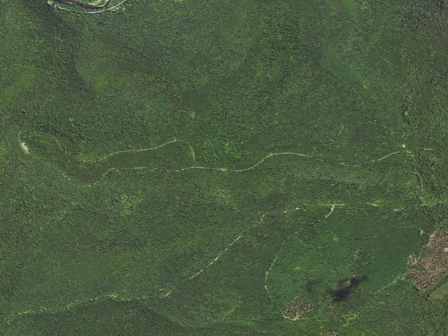 Aerial image of Loyalsock State Forest roadside campsite 724