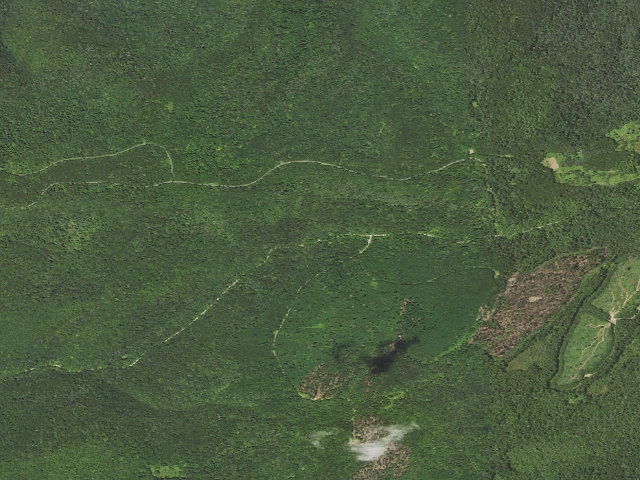 Aerial image of Loyalsock State Forest roadside campsite 730