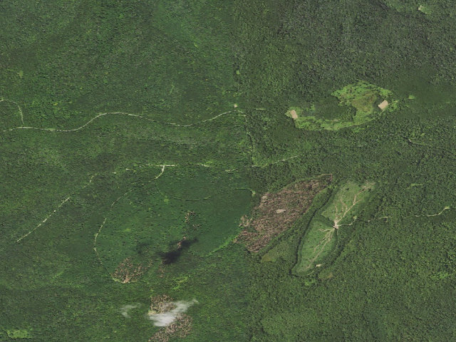 Aerial image of Loyalsock State Forest roadside campsite 731