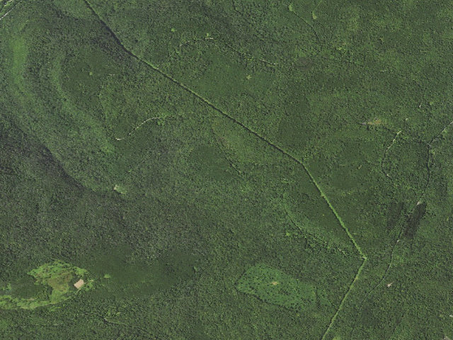 Aerial image of Loyalsock State Forest roadside campsite 751
