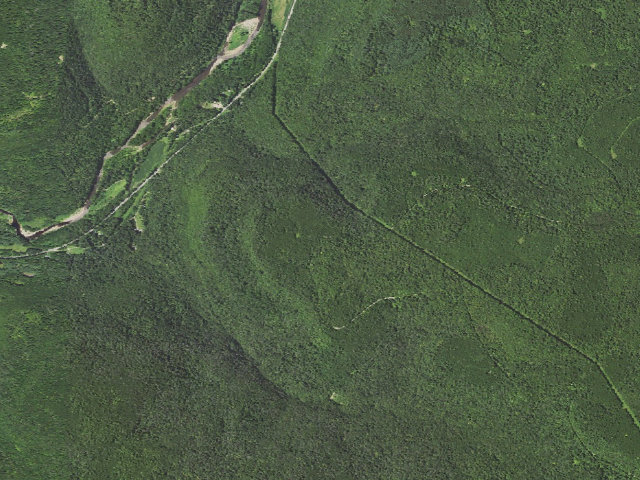 Aerial image of Loyalsock State Forest roadside campsite 779